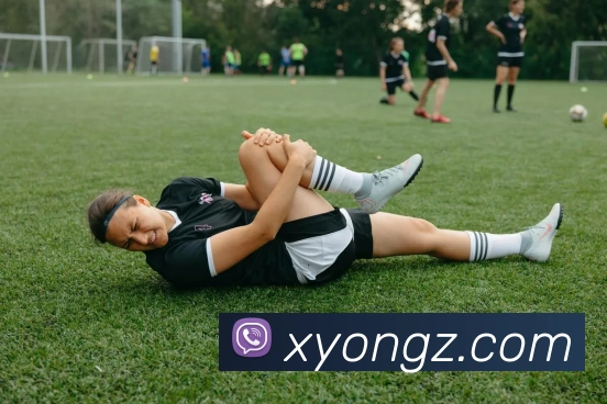 奖项证书